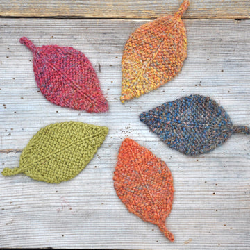 Autumn Elm Leaves