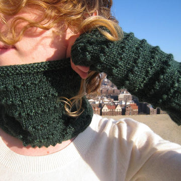 Erinn Fingerless Mitts & Cowl Set
