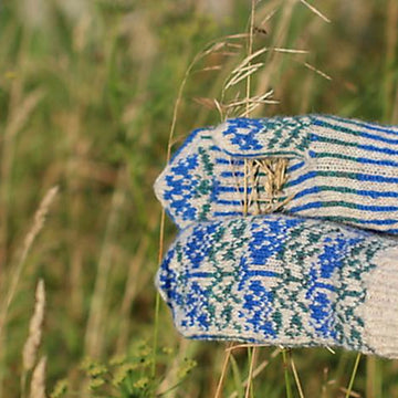 Lithuanian Cornflowers