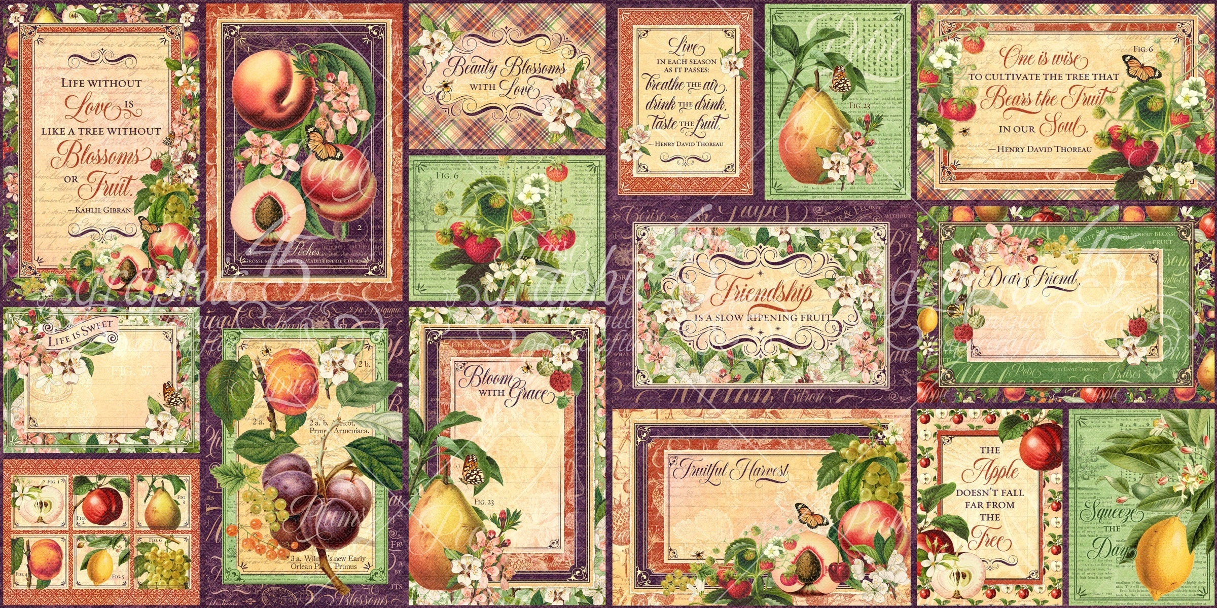 Graphic 45 Fruit & Flora Ephemera Cards - (16) 4"X6" & (16) 3"X4"