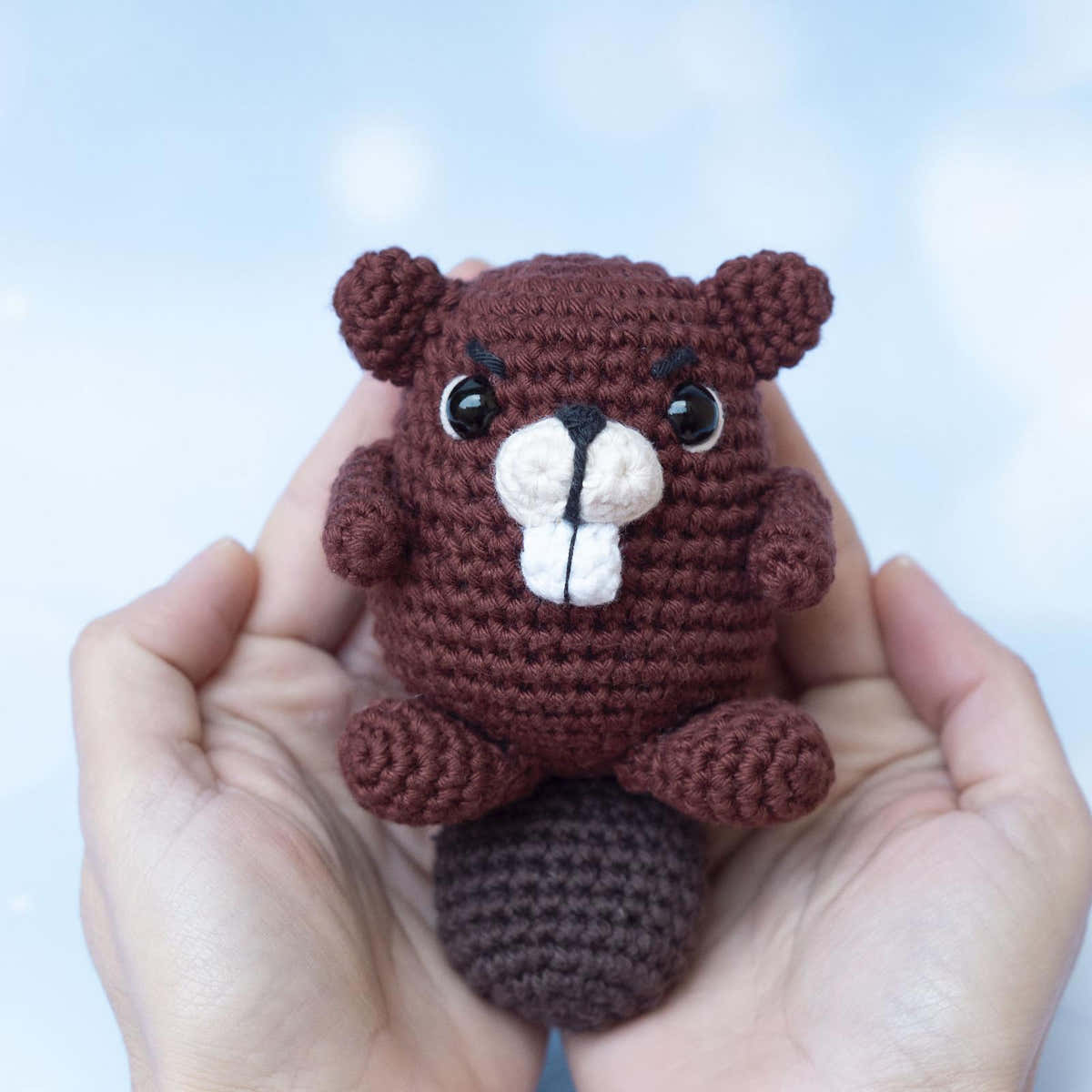 Beaver