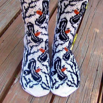 Hoopoes