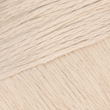 Canvas (3)