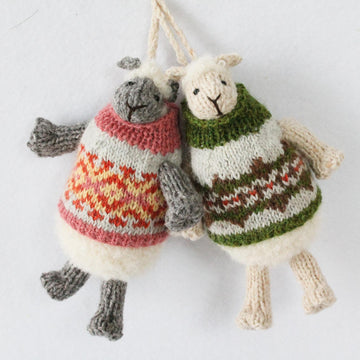 Jumper Lambs