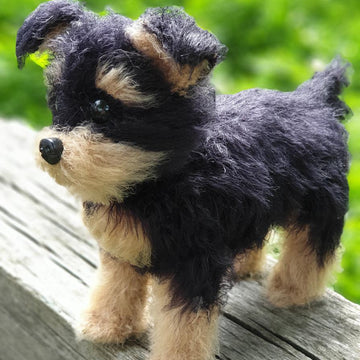 Dog Yorkshire Terrier