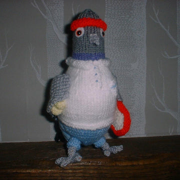 Boris the Tennis Pigeon