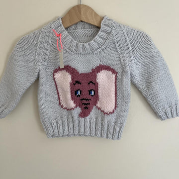 Baby elephant jumper