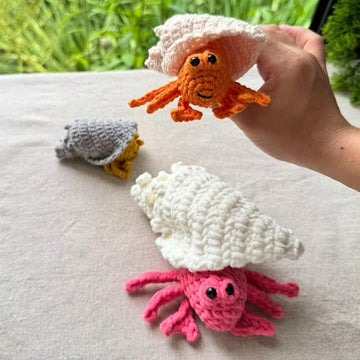 Popping Hermit Crab Kawaii