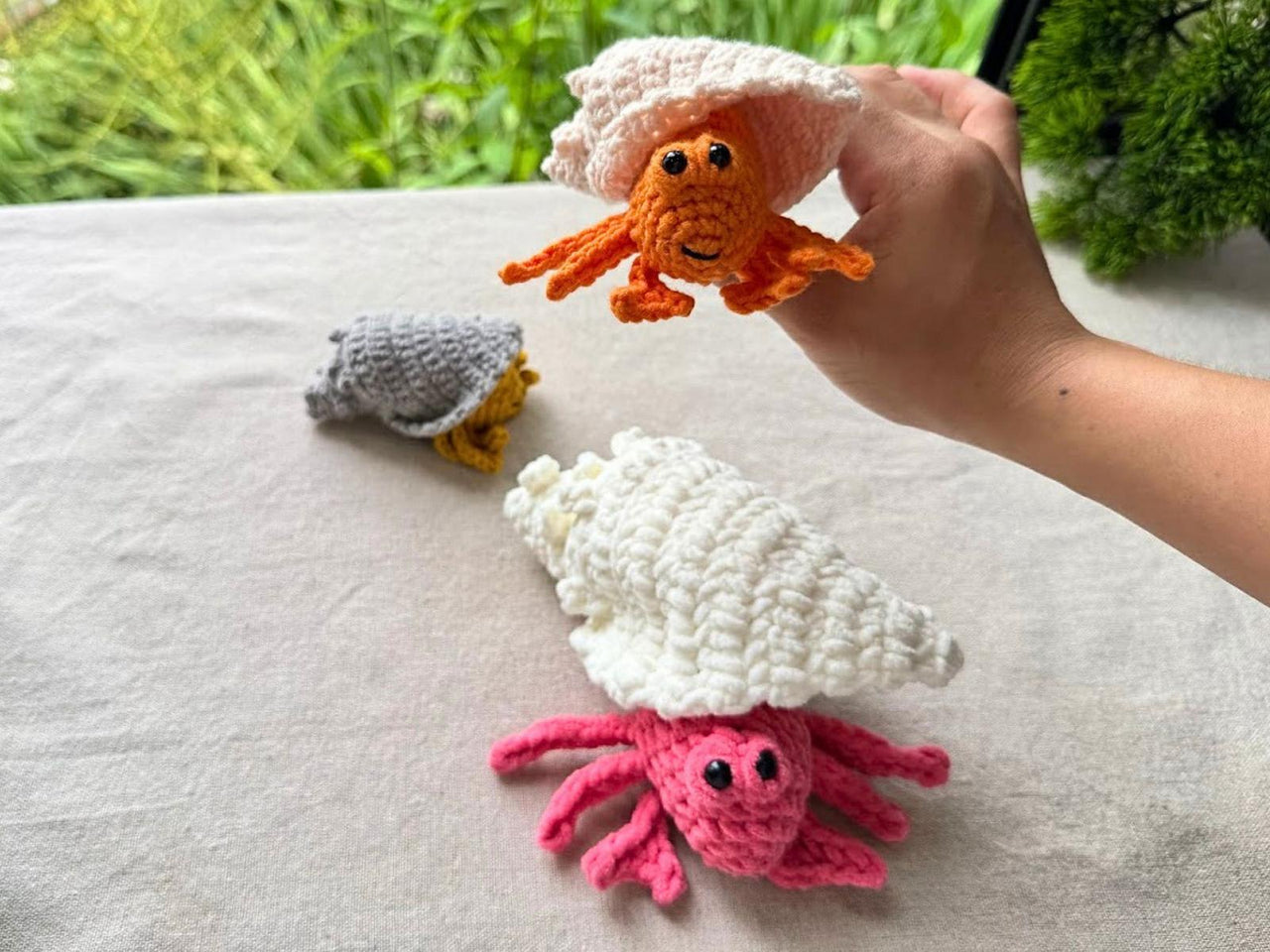 Popping Hermit Crab Kawaii