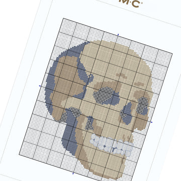 Skull  in DMC - PAT0797 -  Downloadable PDF