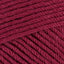 Raspberry (1023)