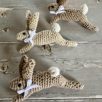 Leaping Spring Hare