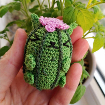 Cactus cat