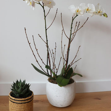 Raffia Flower Pot Sleeve