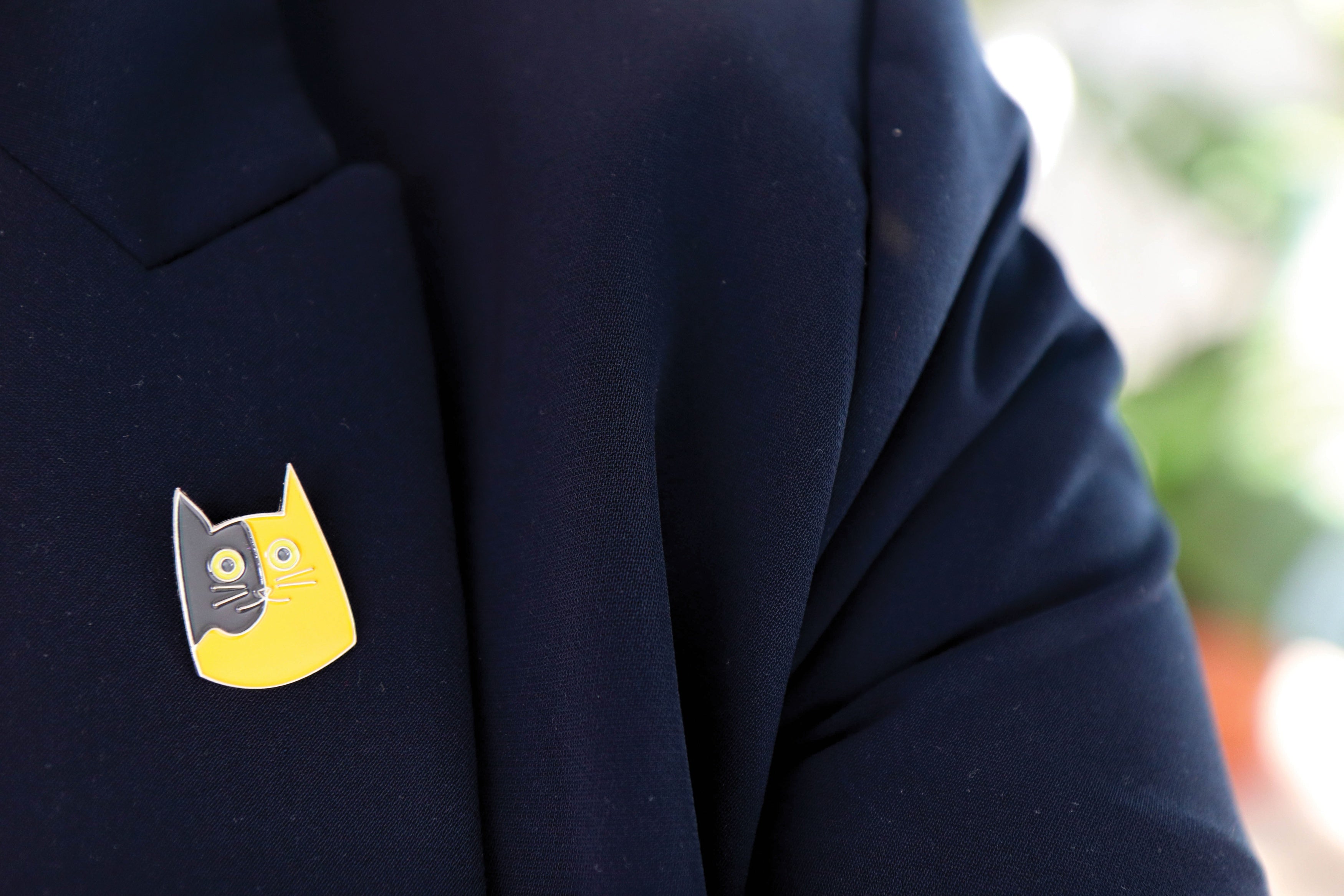 Oh, Hello Co. Oh Hello Enamel Pins 2/Pkg - Cats