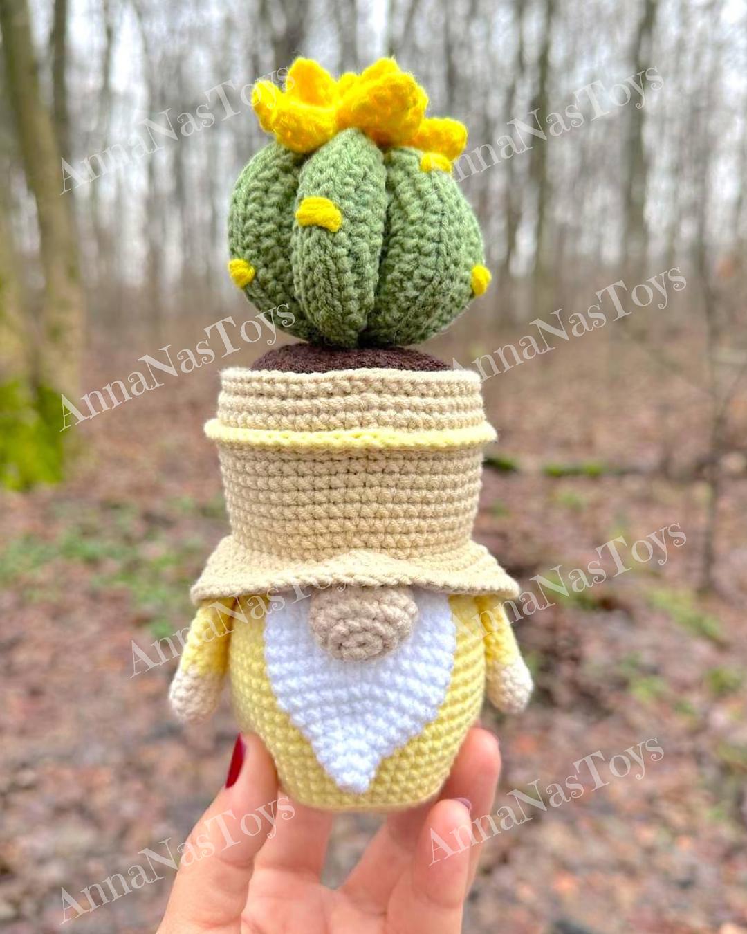 Gnome succulent (cactus)