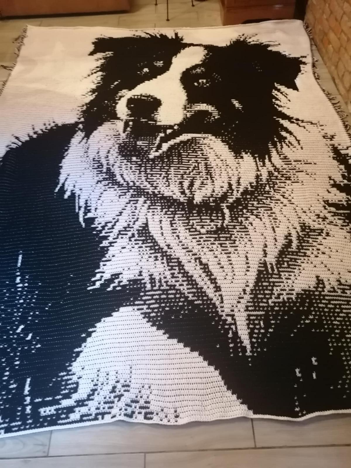 Overlay Mosaic "BORDER COLLIE 2"