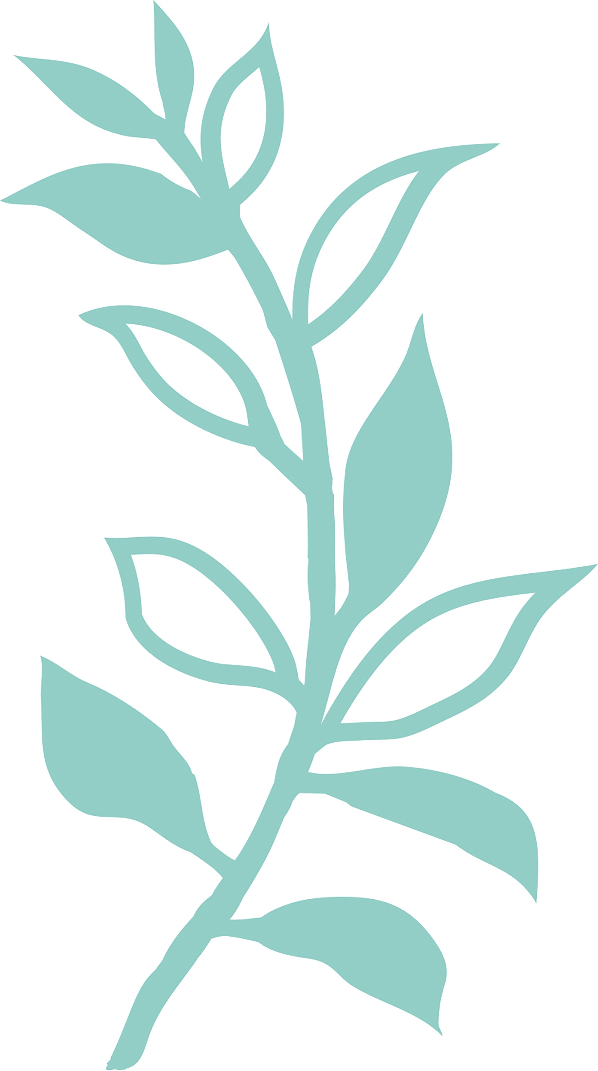 Kaisercraft Decorative Die - Leaf Stem
