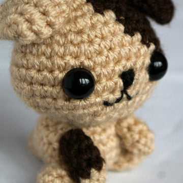 Cute Little Dog