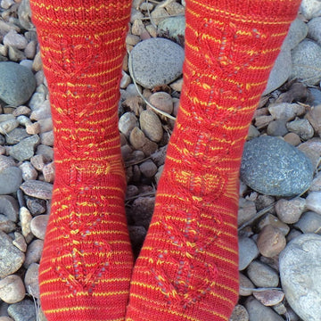 Griffindor Transfiguration Socks
