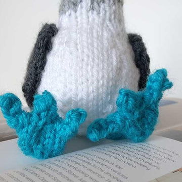Blue Footed Booby Toy