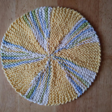 1O Segment Discloth/Hotpad