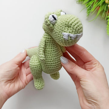 Dinosaur Baby T_Rex