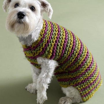 City Stripes Dog Sweater in Lion Brand Wool-Ease Thick & Quick - 80933AD