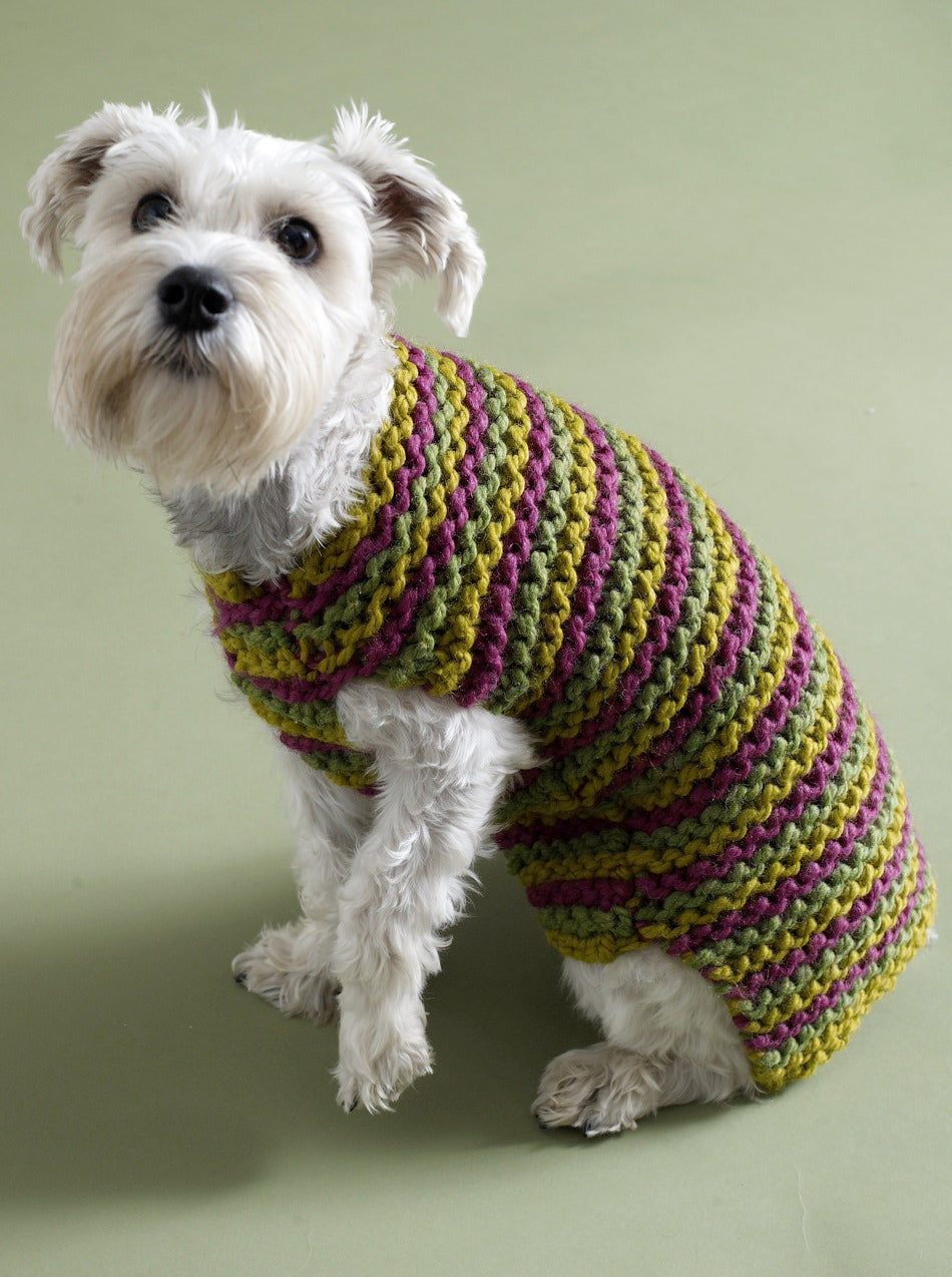 City Stripes Dog Sweater in Lion Brand Wool-Ease Thick & Quick - 80933AD