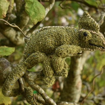 Chameleon