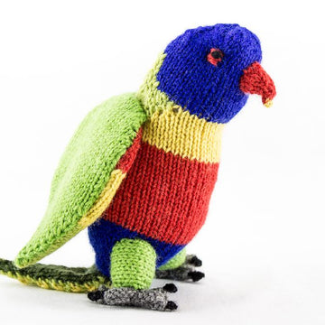 Rainbow Lorikeet