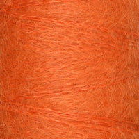 Pumpkin (48)