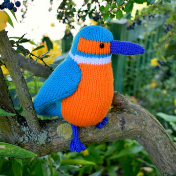 Kenneth the Kingfisher