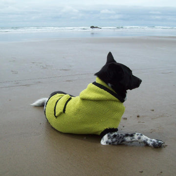 Canine Hoodie