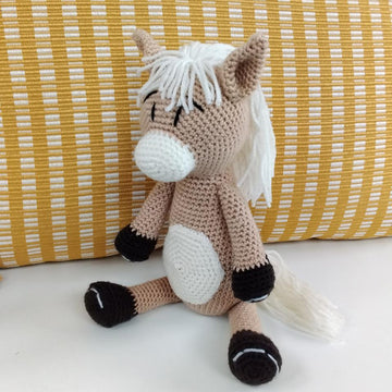 Toffee the baby Horse