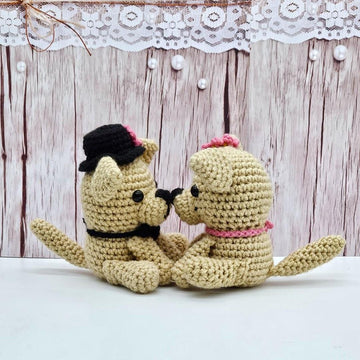 Chihuahua Couple