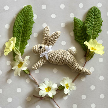Leaping Spring Hare