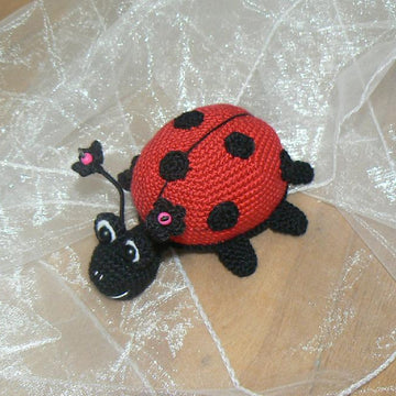 Ladybug