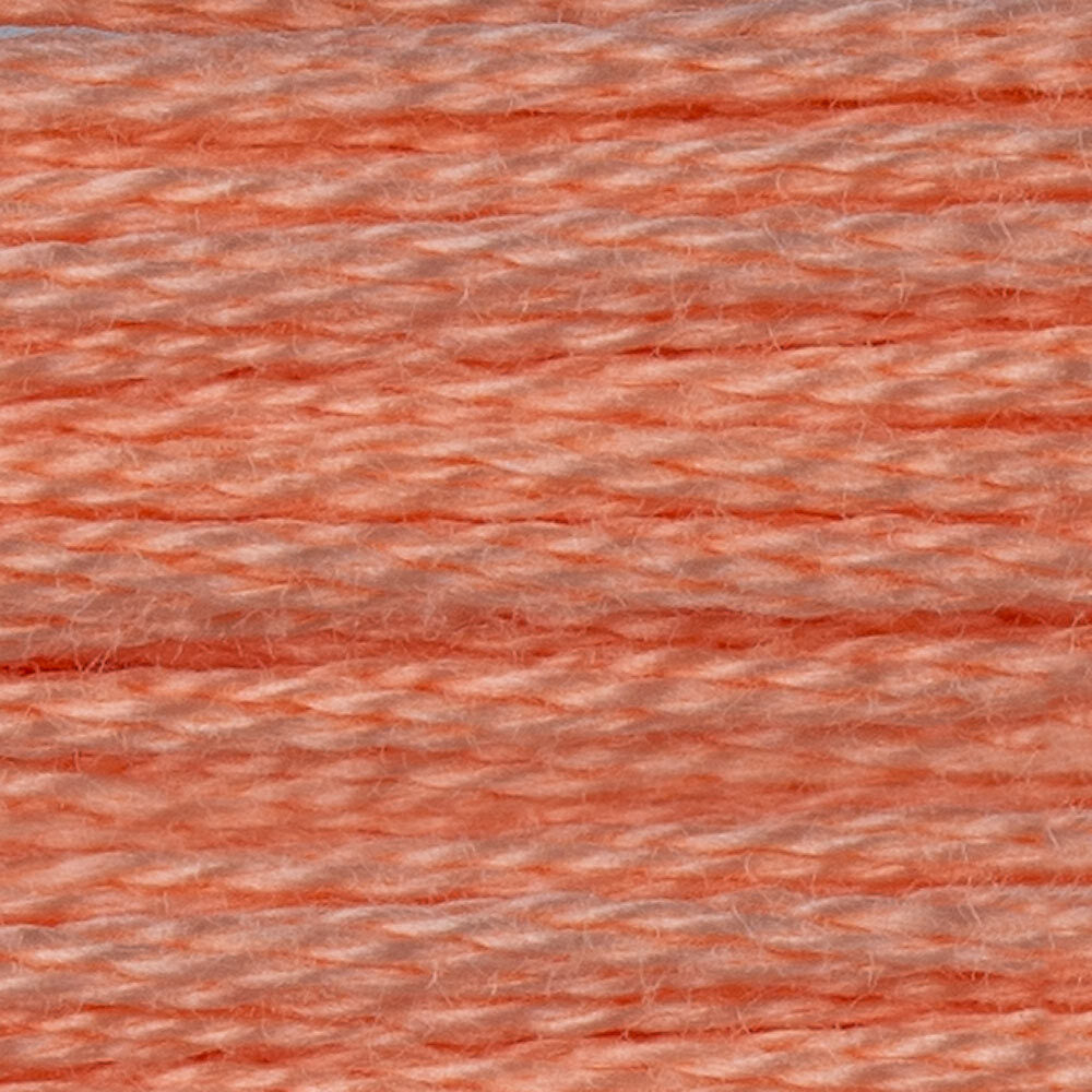 DMC Stranded Cotton - Warm Shades