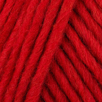 Raspberry (31)
