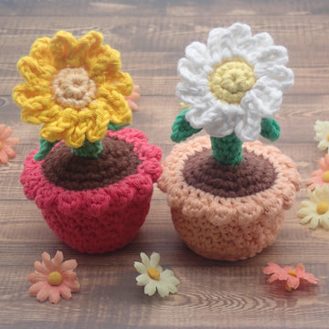 Daisy & Marigold in a Flower Pot