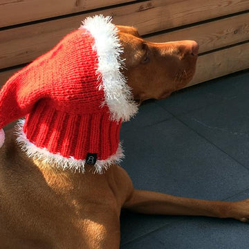 Santa Dog Hat