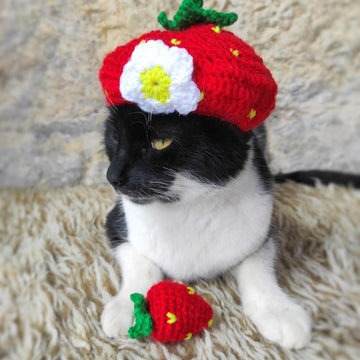 Strawberry Cat Hat