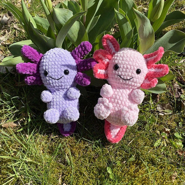 Little Axolotl