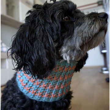 Crochet Pattern For The Dog Loop Easy Customizing