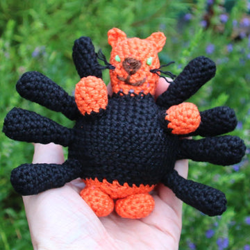 Spider Cat