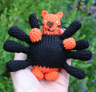 Spider Cat