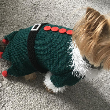 Christmas Elf Dog Costume