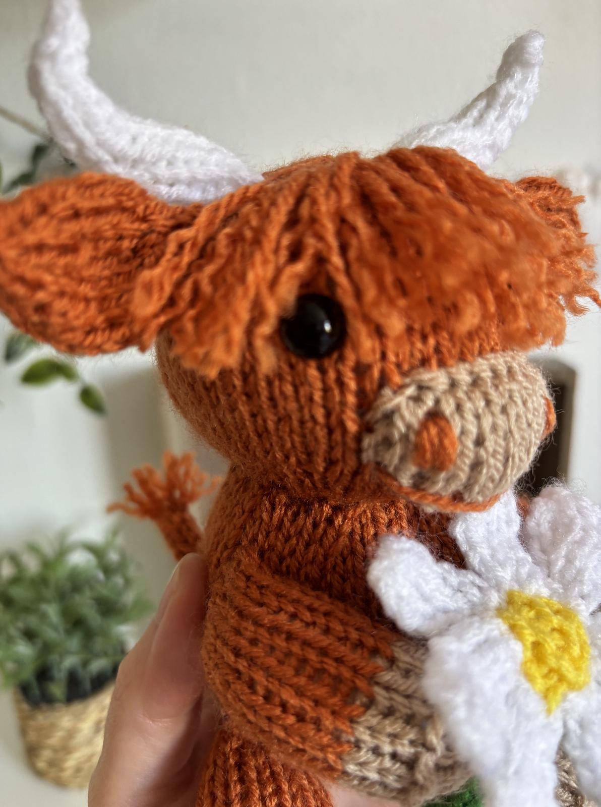 Daisy Highland Cow