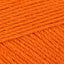 Harvest Pumpkin (99)